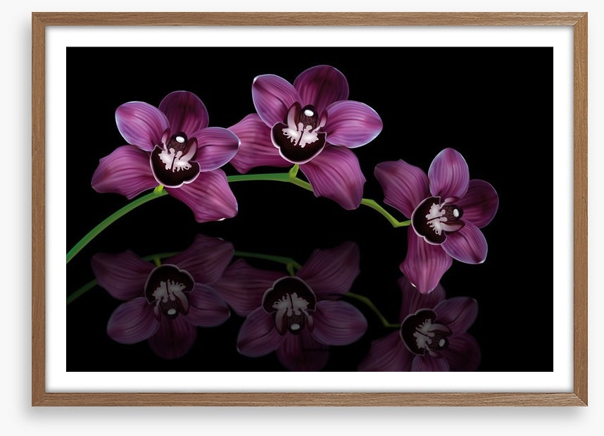 Purple orchid arc
