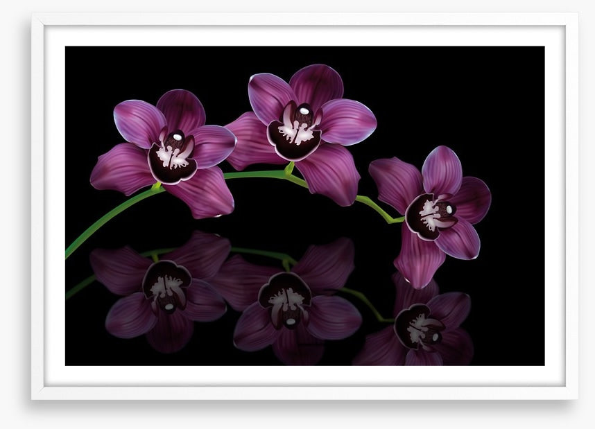 Purple orchid arc