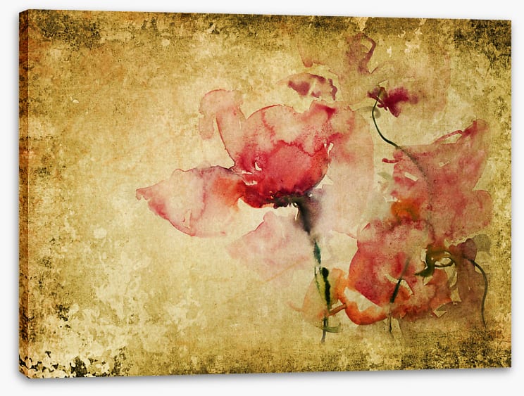 Ageing gracefully