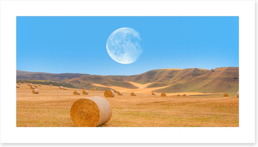 Harvest moon