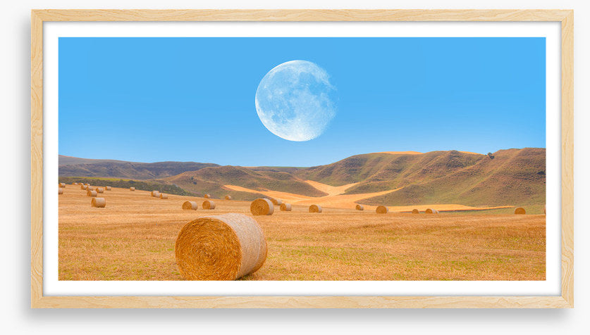 Harvest moon
