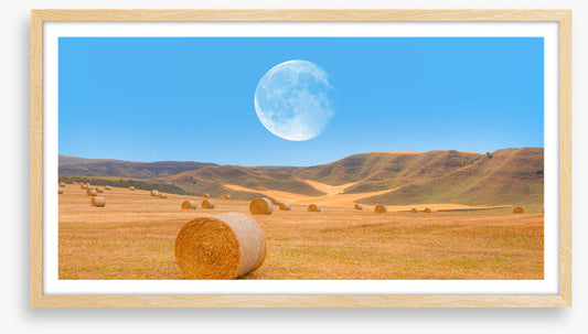 Harvest moon