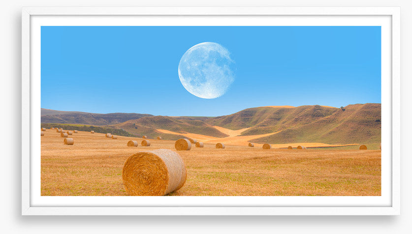 Harvest moon