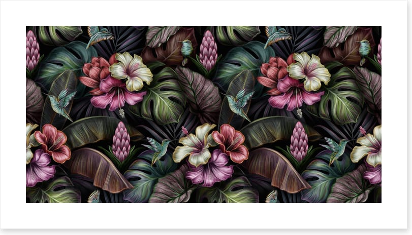 Bromeliad blooms