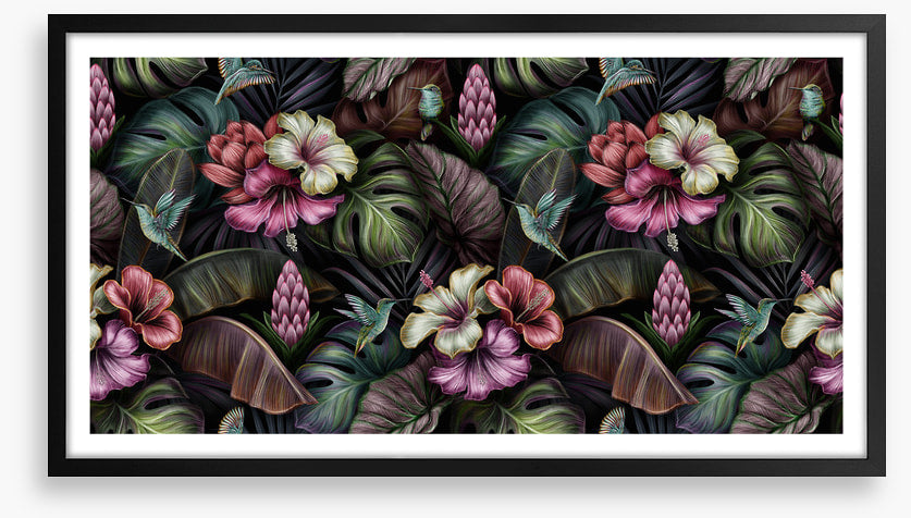 Bromeliad blooms