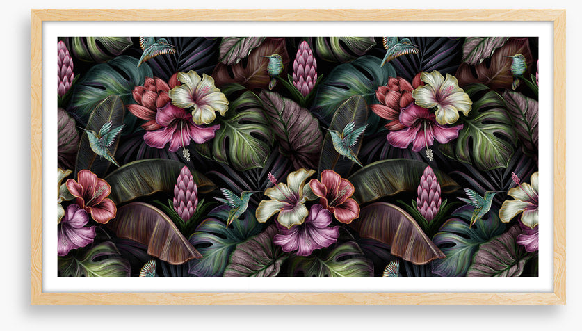 Bromeliad blooms