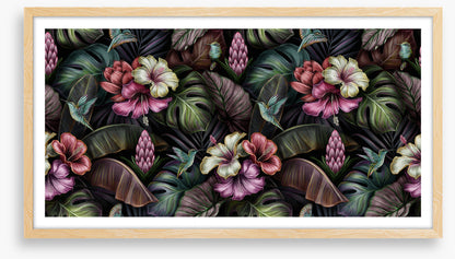 Bromeliad blooms