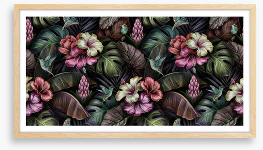 Bromeliad blooms