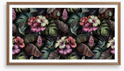 Bromeliad blooms
