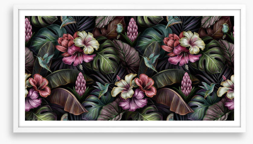 Bromeliad blooms