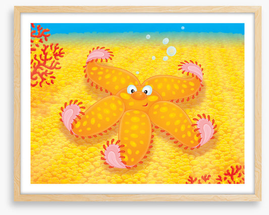Under The Sea