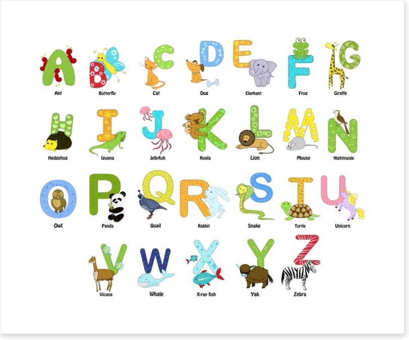 Animal alphabet