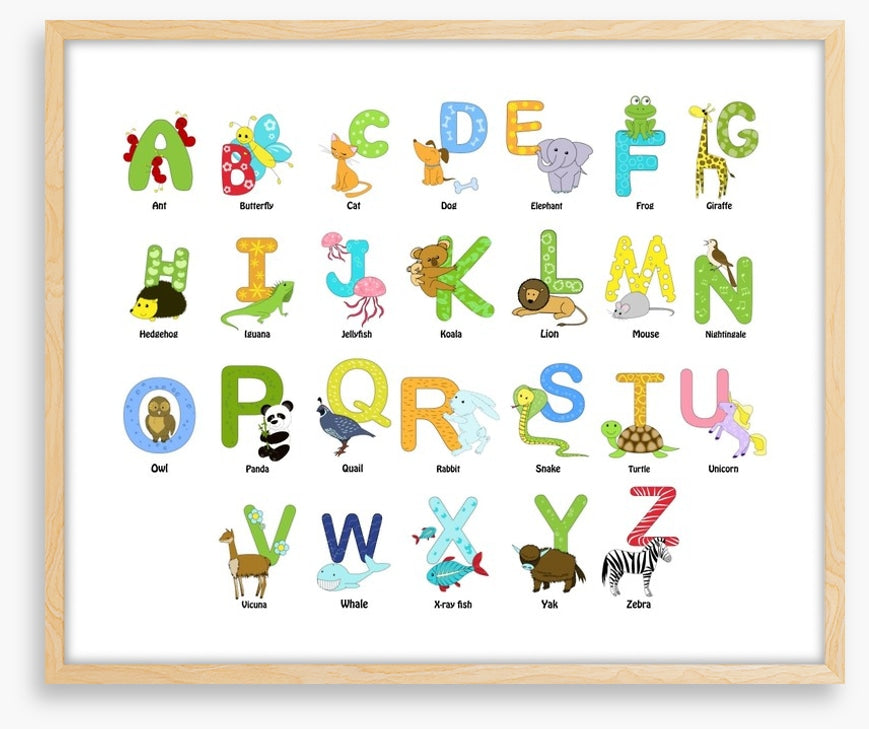 Animal alphabet