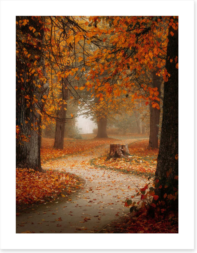Winding through autumn