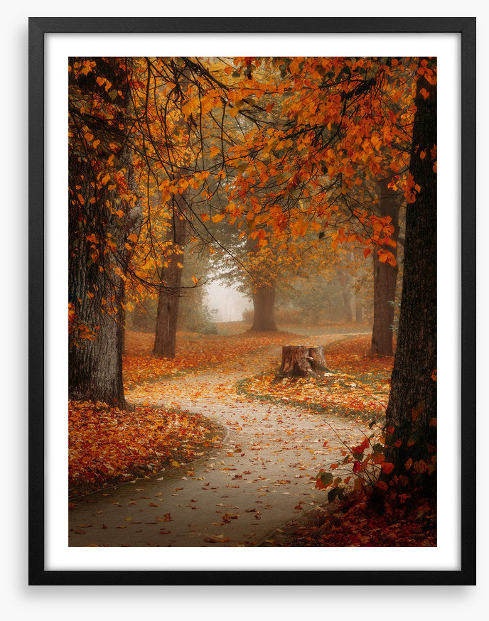 Winding through autumn