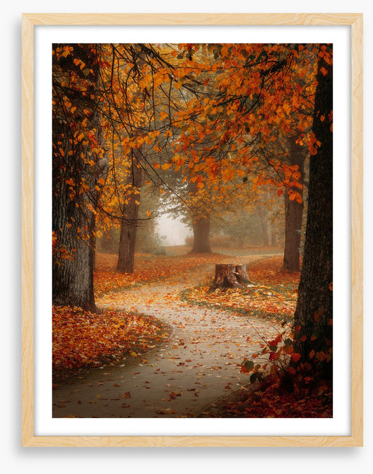 Winding through autumn