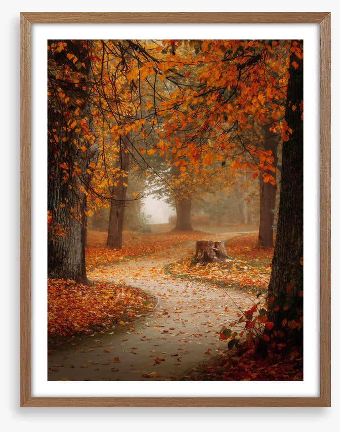 Winding through autumn