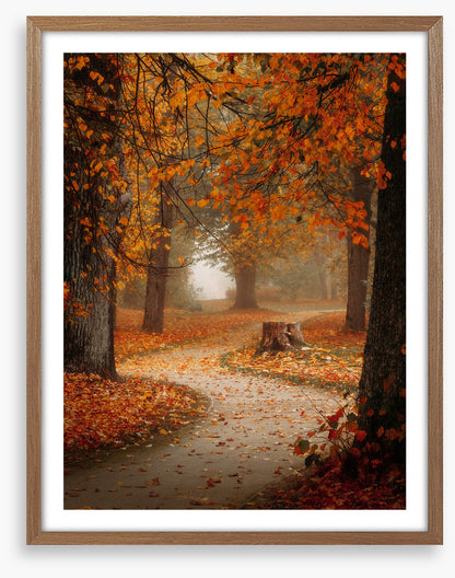 Winding through autumn