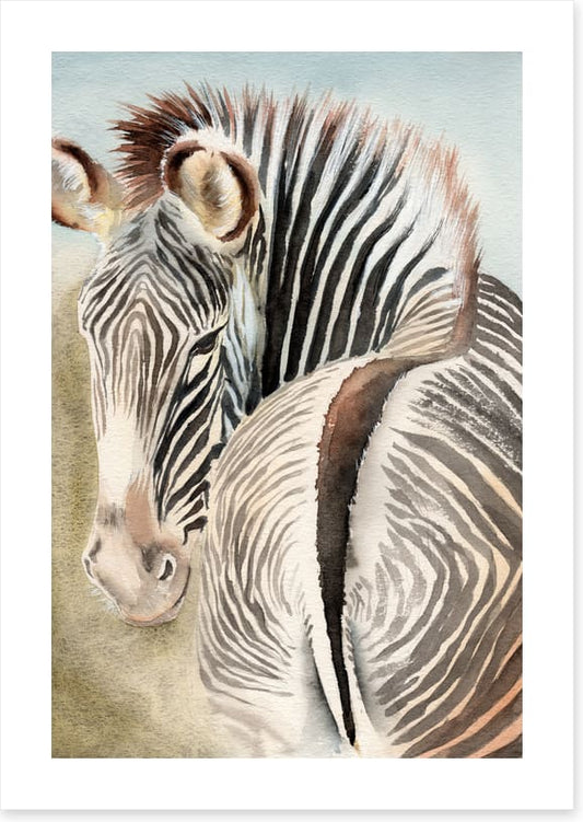 Behind the zebra