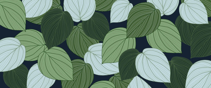 Forever in green leaves