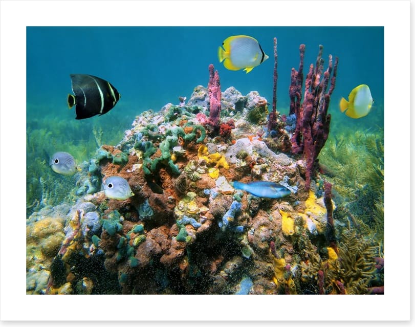 Underwater