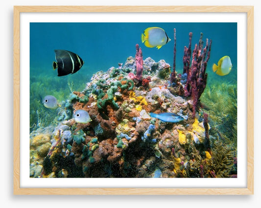 Underwater