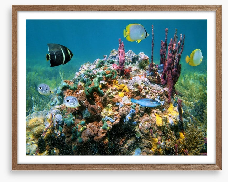 Underwater