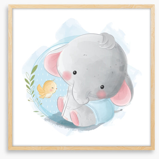 Elephants