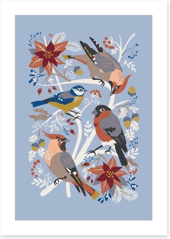 Birds