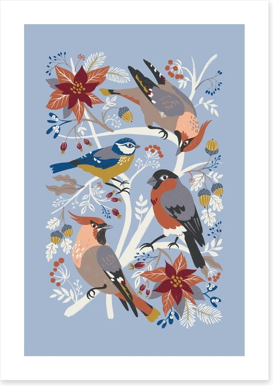 Birds