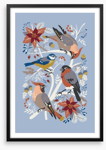 Birds