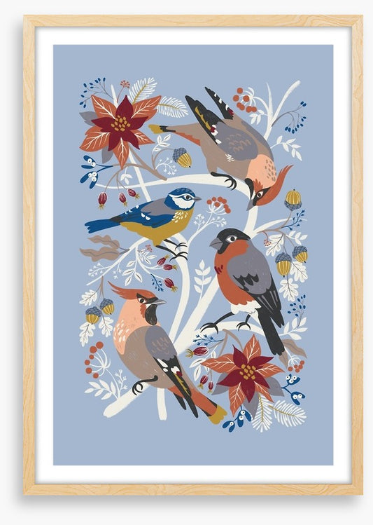 Birds
