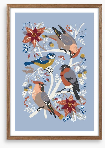 Birds