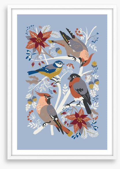 Birds