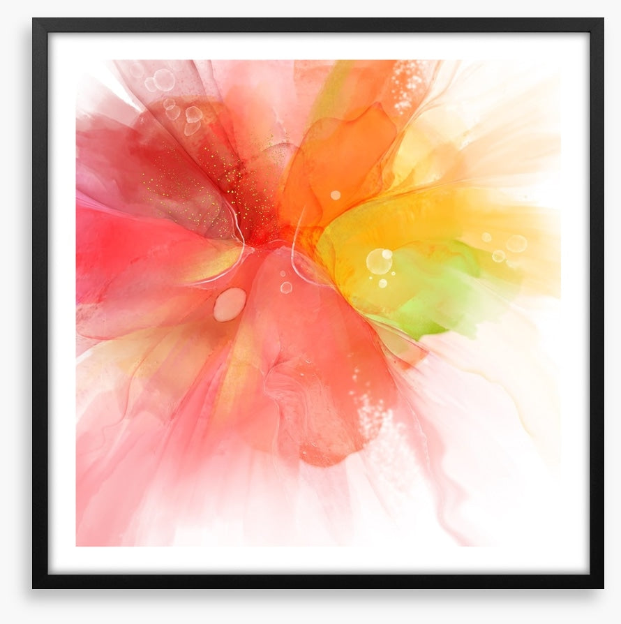 Exploding into summer