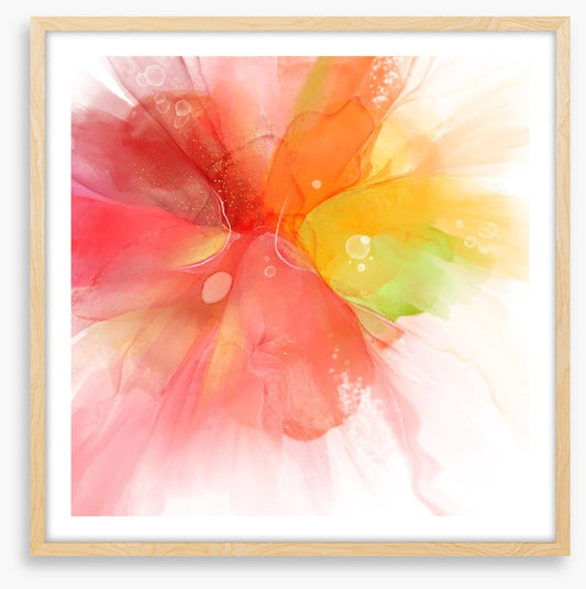Exploding into summer