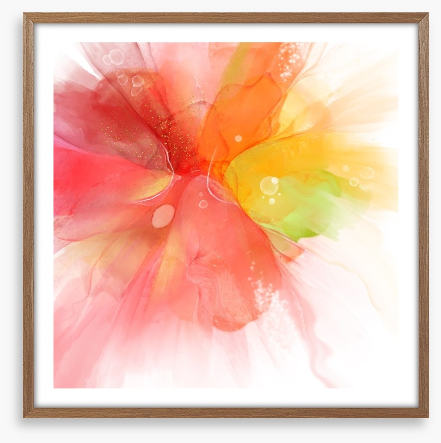 Exploding into summer