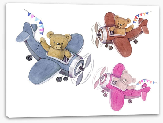 Teddy bear planes