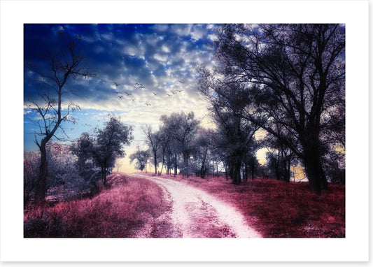 The road to nowhere