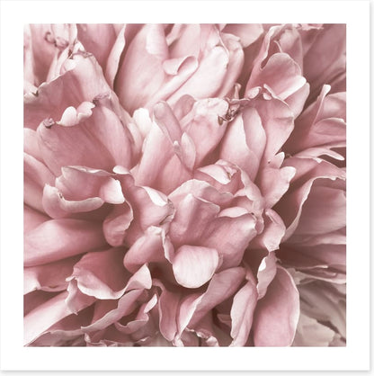 As fragile as love