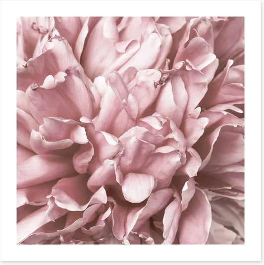As fragile as love