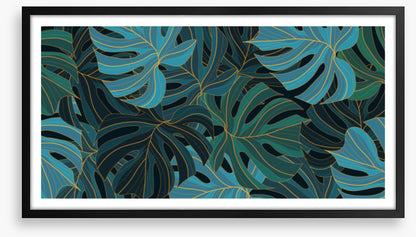 Moonshine monstera