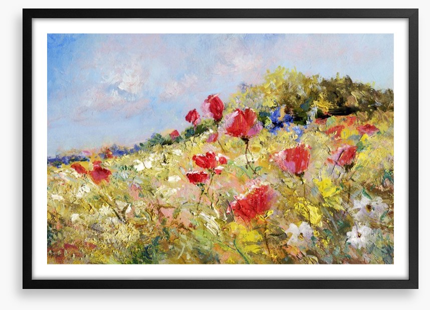 Poppies bloom through