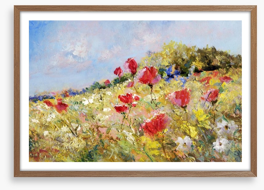 Poppies bloom through