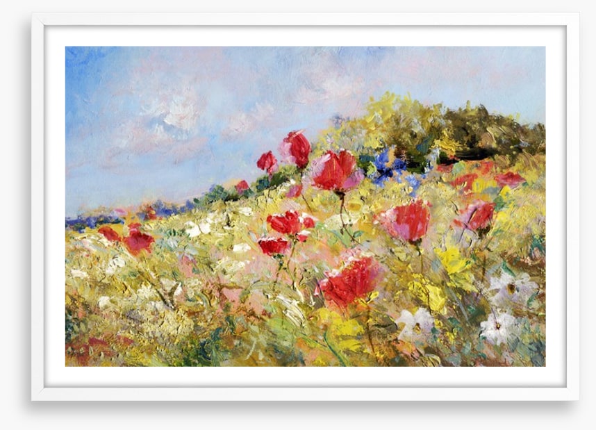 Poppies bloom through