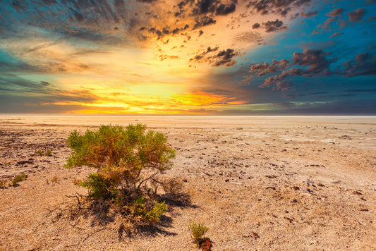 Salt lake sunset