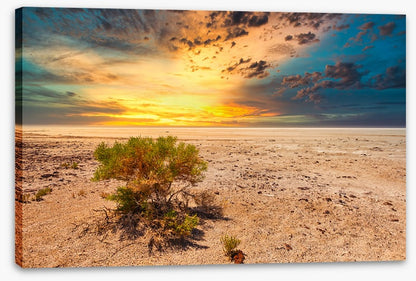 Salt lake sunset