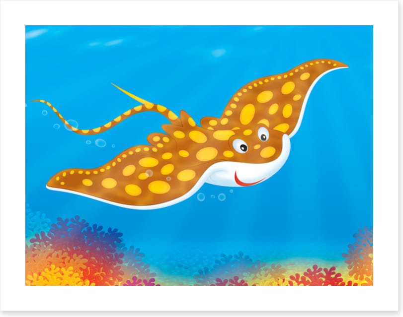 Under The Sea