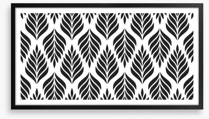 Black and White