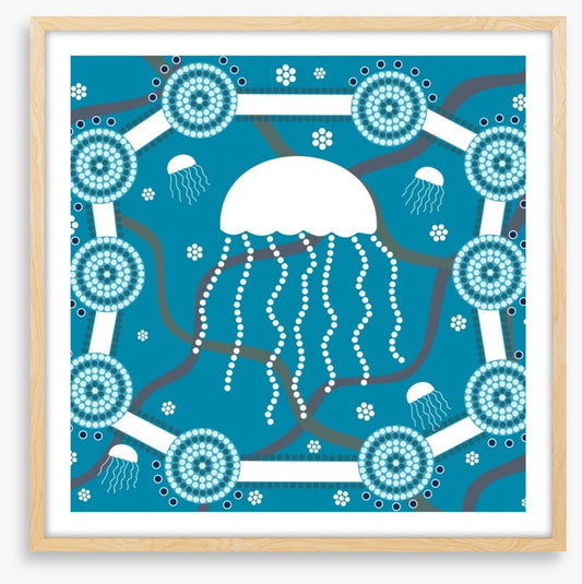 Jellyfish waters